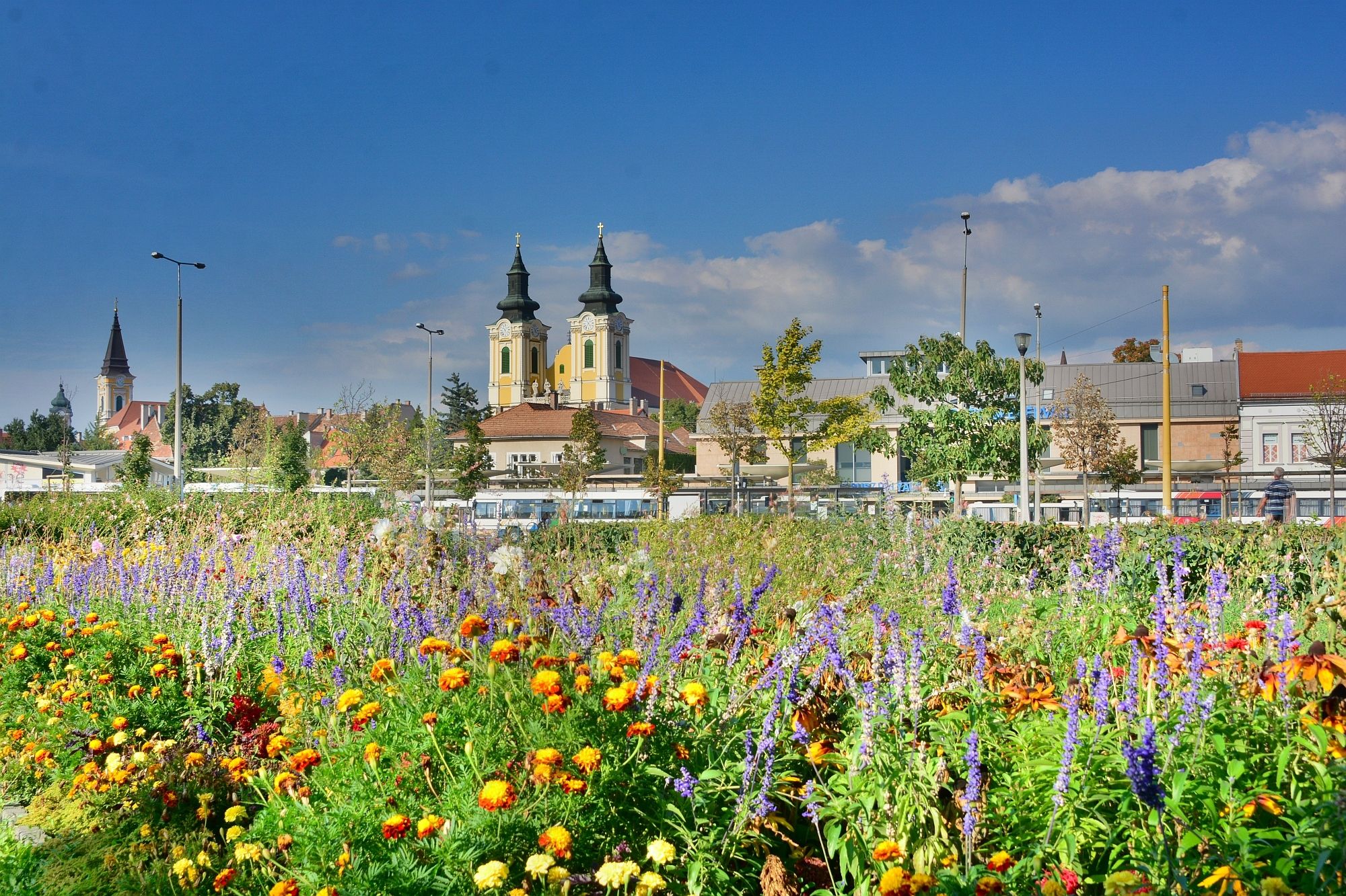 Jövő héten kedden érkezik Fehérvárra az Entetne Florale verseny zsűrije